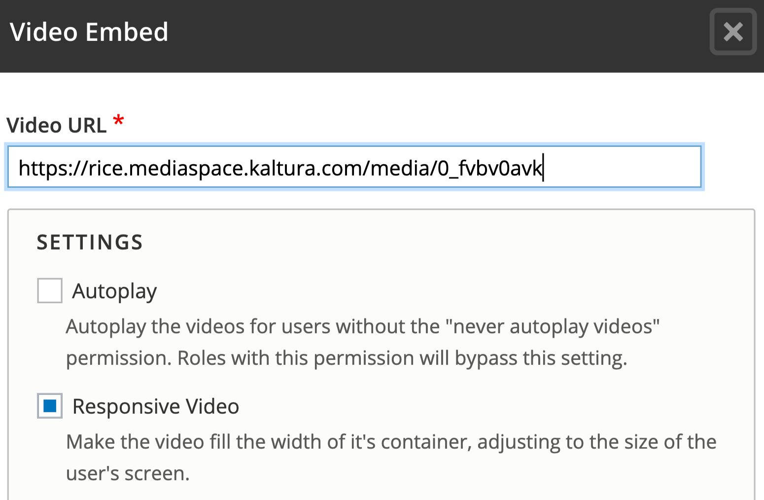 Video Embed modal with Video URL field and Settings.